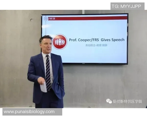 英超球队建制:英超俱乐部的组织结构和管理层